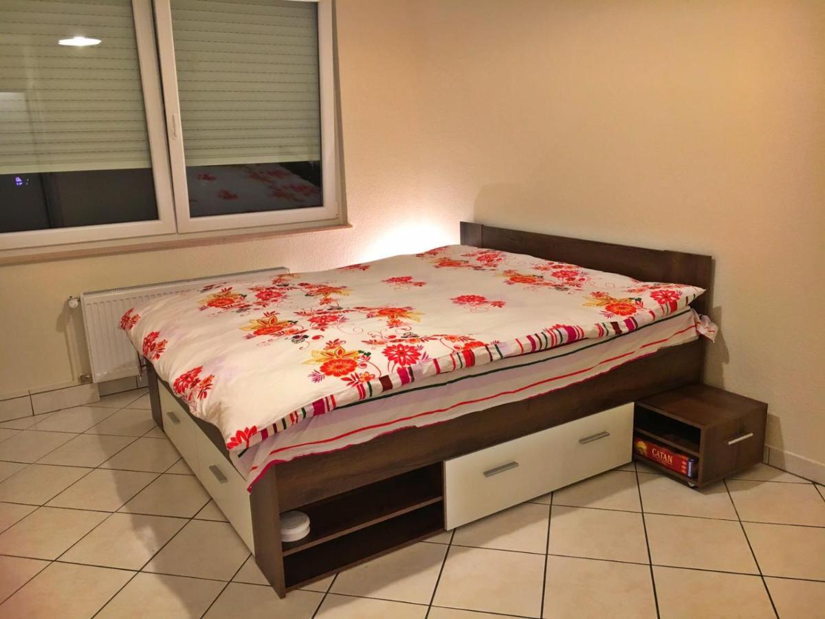 Cozy Studio Apart - King Bed - Netflix - Projector - Fast Wi-Fi Luxemburg Exteriör bild